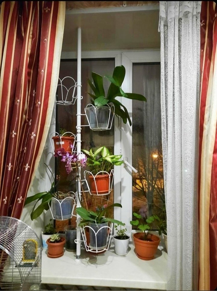 распорная подставка для орхидей на подоконник. Фото N5